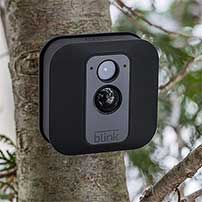 motion sensing camera setup in a tree